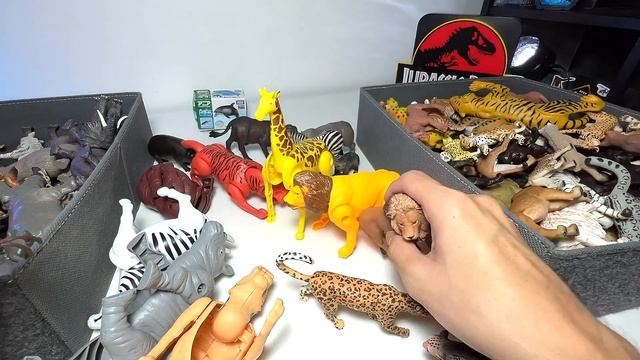 Transforming Animals, African Animals, Wild Animals, Lion, Rhino, Elephant, Cheetah, Hippo, Zebra смотреть онлайн