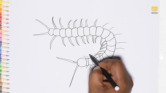 Centipede outline drawing 02 | How to draw A Centipede step by step | Outline drawings | art janag смотреть онлайн