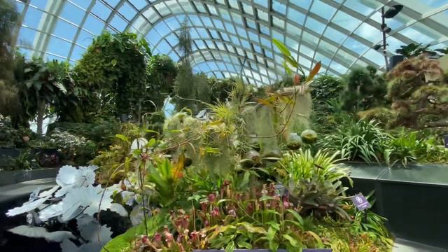 рай на земле - GARDEN BY THE BAY в Сингапуре смотреть онлайн