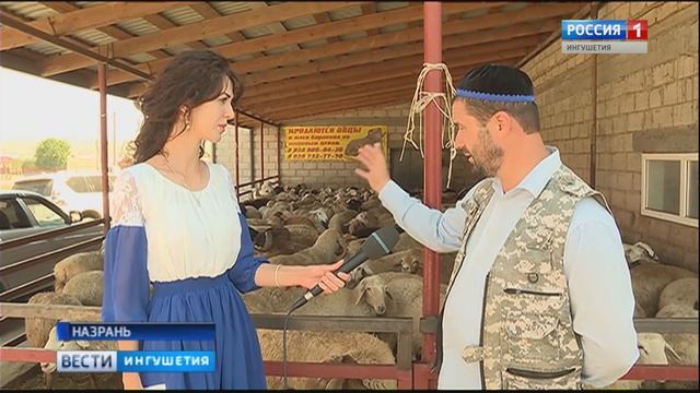 В этом году Курбан-Байрам верующие будут отмечать 1 сентября смотреть онлайн