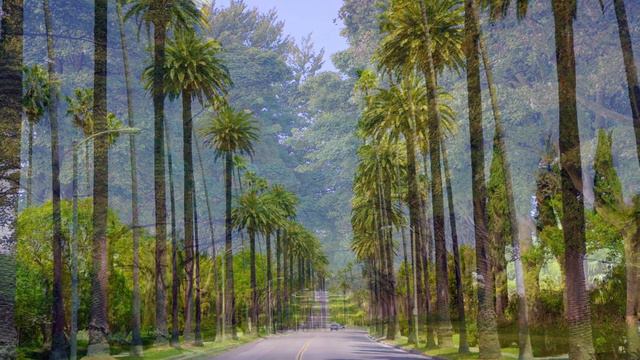 Сергей Риневич 