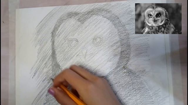 Как нарисовать сову карандашом/Туториал по рисованию/Draw an Owl смотреть онлайн