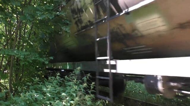 Выходит из густого леса! Тепловоз ЧМЭ3-3459 с грузовыми цистернами, 8 июля 2021 г. смотреть онлайн