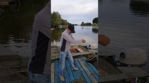 Ловим селёдку. Маково, Володарский район.