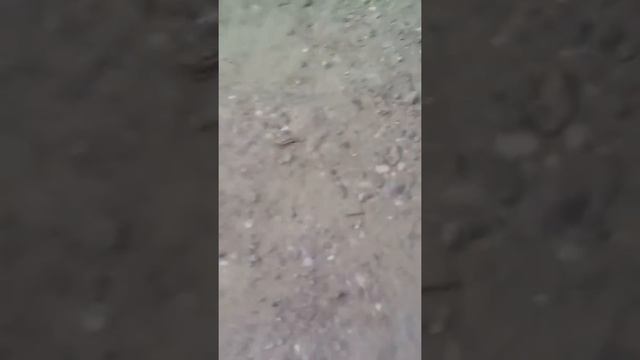 Live stream so (the micka) (vasil mk) смотреть онлайн