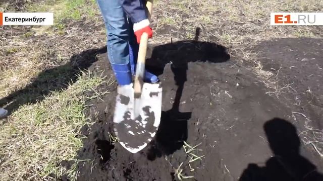 Вскапываем грядку смотреть онлайн