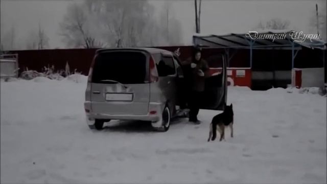 HOMIE - Одинокий пёс (DimakSVideo) смотреть онлайн