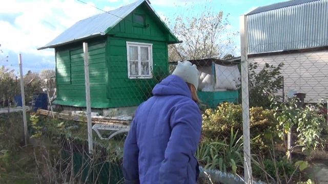 НАСЫЩЕННЫЙ ОСЕННИЙ ДЕНЬ ОБРЕЗАЛ МОЛОДУЮ ЯБЛОНЮ смотреть онлайн