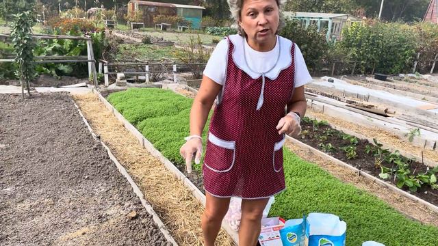 Заправка грядок под чеснок и лук , удобрения Органик Микс .