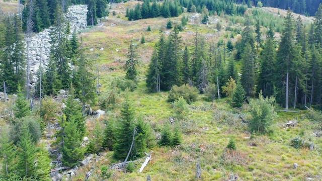 Витоша, каменните реки от пътеката Еделвайс-Кумата - Vitosha ot putekata Edelvais Kumata смотреть онлайн