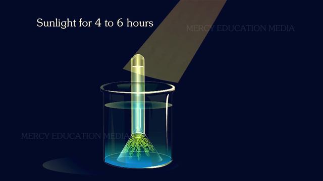Oxygen is Evolved During Photosynthesis - Hydrilla Experiment смотреть онлайн