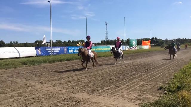Конное шоу на ипподроме в Барнауле смотреть онлайн