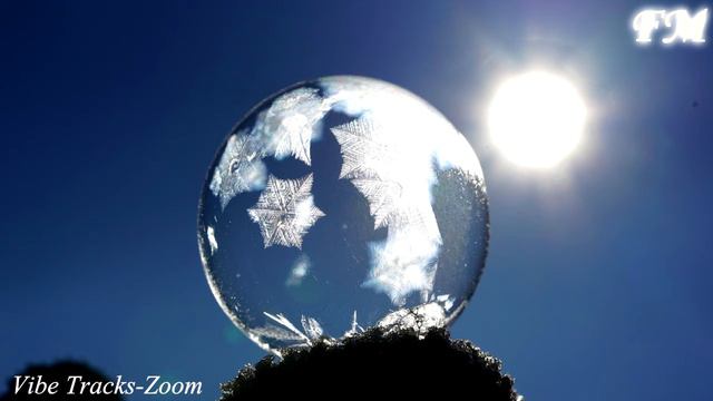 🎶Vibe Tracks-Zoom