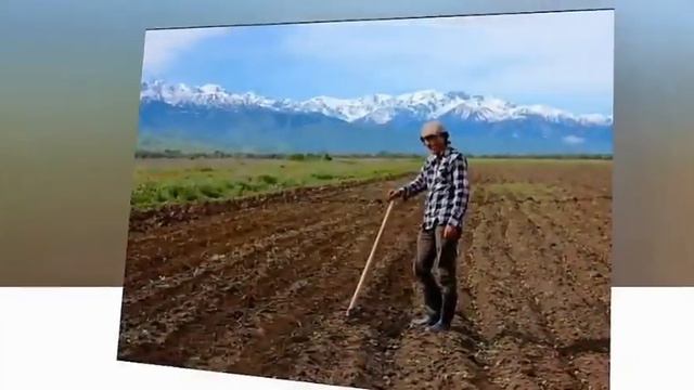 Срочные новости Казахстана// больные Китайцы лезут в Казахстан