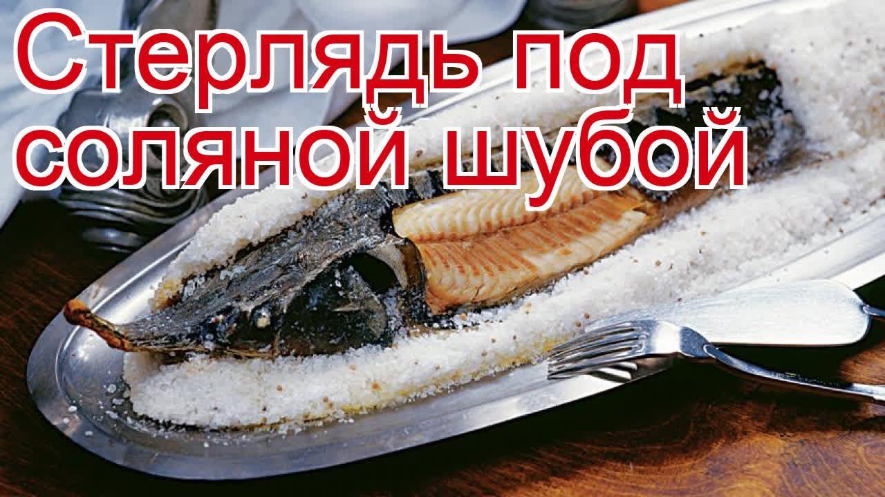 Рецепты из стерляди дикой - как приготовить стерлядь пошаговый рецепт - Стерлядь под соляной шубой смотреть онлайн