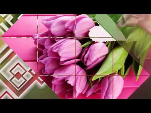 Projekt ProShow Produser "The magic of tulips" смотреть онлайн