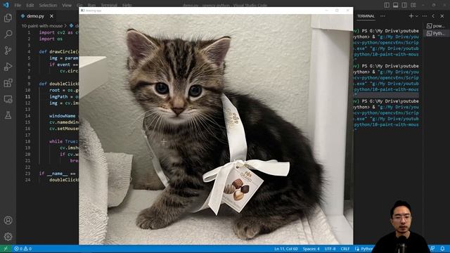 OpenCV Python Paint With Mouse смотреть онлайн