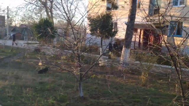 КРЫМ. ЖИЗНЬ В СИМФЕРОПОЛЕ ПОСЛЕ ЦИКЛОНА! 2 ДЕКАБРЯ 2021 ГОДА. смотреть онлайн