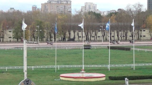 Московский ипподром. Бега. 14.10.17. Заезд 5(614) смотреть онлайн