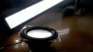 Паль динамиков