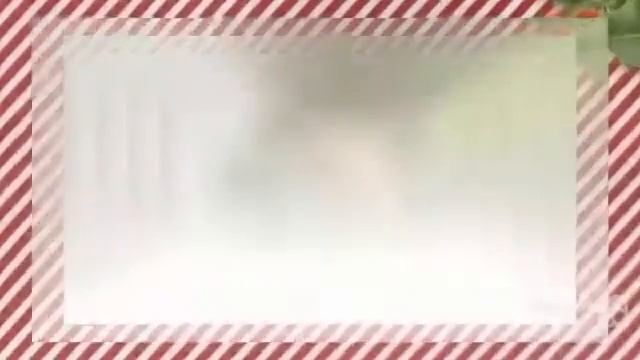 Цветы Платицериум (Platycerium Flower)