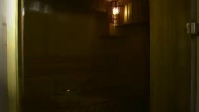 Bratislavskaya PEGAS