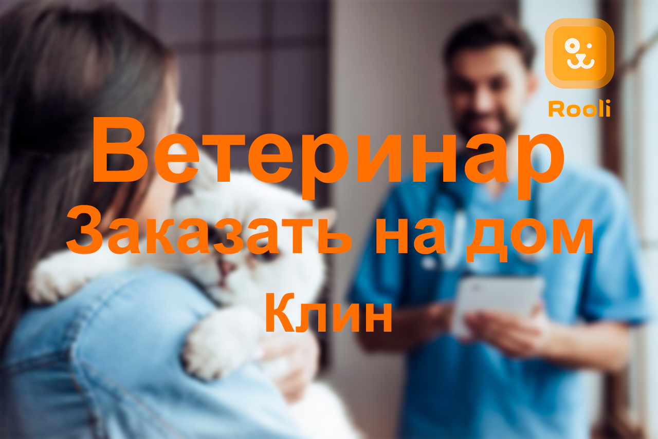 Клин: Ветеринарная помощь для счастливой и здоровой жизни вашего питомца смотреть онлайн