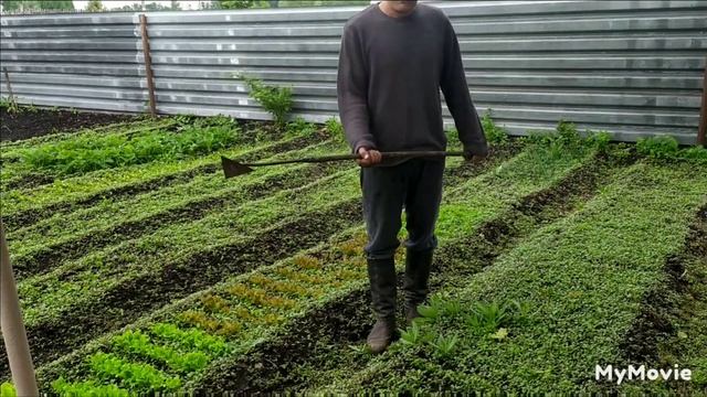 Самый лучший ,,полольник,, своми руками. смотреть онлайн