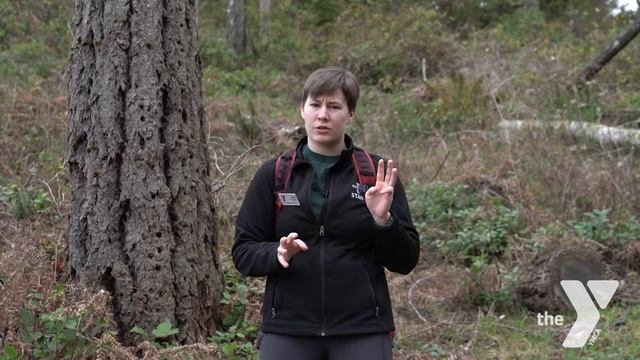 Virtual Youth Programming: Fun Activities | Leave no trace with Jenn смотреть онлайн