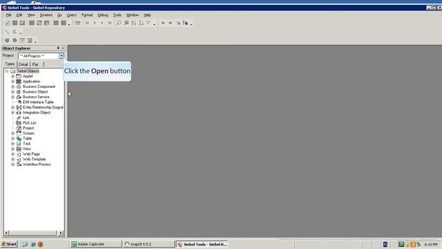 Siebel Integration Example 2 смотреть онлайн