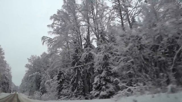 Skoda Kodiaq поездка на Валдай!!! Зимняя сказка!!!