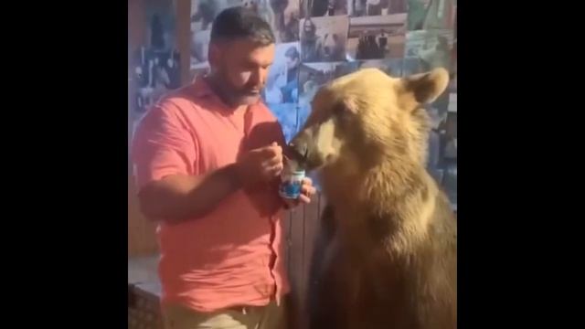 Что делать если скрипит пол смотреть онлайн