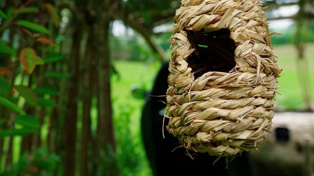 The Grand Tour 1 сезон 4 серия