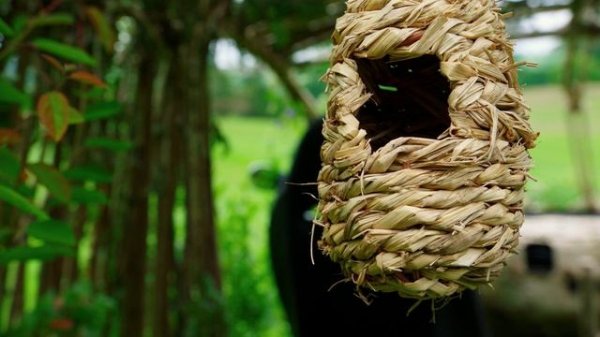 The Grand Tour 1 сезон 4 серия