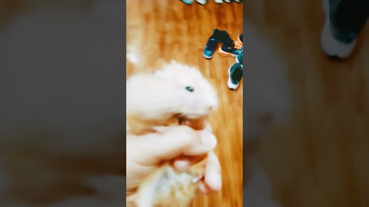 12 мая 2024 г. смотреть онлайн