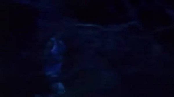 Timber Timbre - Run From Me