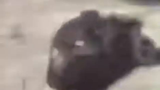 Я смеялся пол день смотреть онлайн