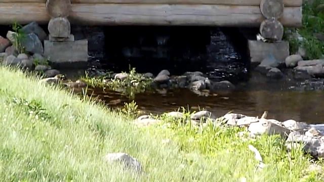 Водяная мельница смотреть онлайн