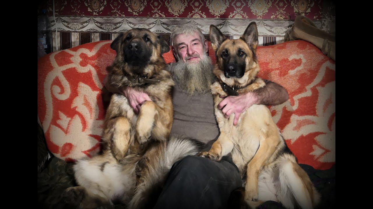 Как уберечь свою собаку от гибели, а себя - от мук совести. смотреть онлайн