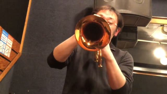 君をのせて/天空の城ラピュタ【フリューゲルホルンで吹いてみた】歌謡曲ムードトランペッター・柴田直人 смотреть онлайн