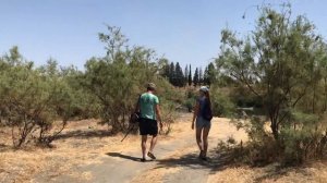 ЭКЗОТИЧЕСКИЙ ВЫПУСК! Рыбалка на ТРАВКУ в Грузии! Ловля Усача (чанари) на Куре в Грузии.