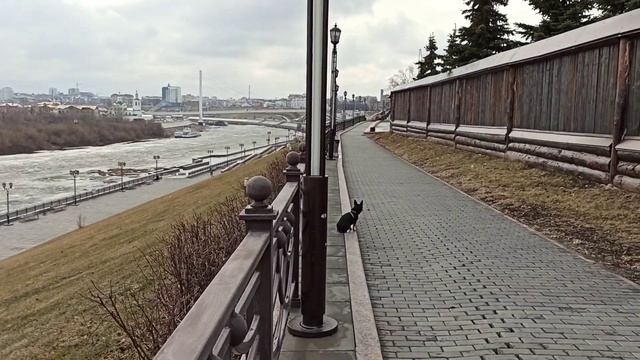 "Набережная" Тюмени. Утро 12.04.21. смотреть онлайн