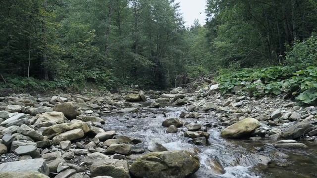 Сестра воспользовалась своим правом, но потом жалела всю свою жизнь! История из жизни. смотреть онлайн