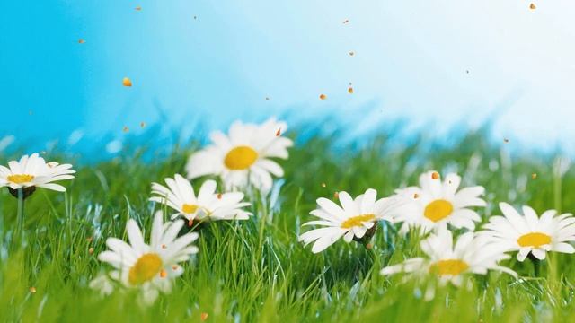 Музыка для сна для младенцев Успокаивающая Расслабляющая колыбельная для младенцев смотреть онлайн