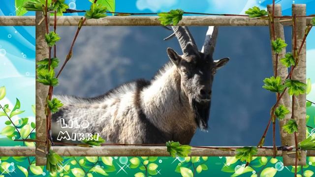 Домашние животные для детей. Животные которые живут на ферме. смотреть онлайн