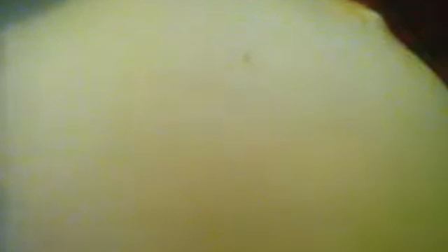 Малыш шевелится смотреть онлайн