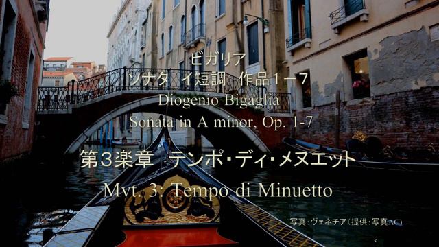 Bigaglia / Soprano Recorder Sonata in A minor, Op. 1-7 смотреть онлайн