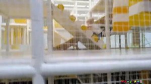 День рождения Софии в BANANA PARK /Детский парк активного отдыха/ Мунсерят