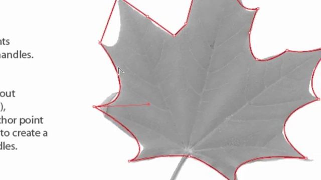 Anchor Points Pt 8 Maple Leaf.mp4 смотреть онлайн
