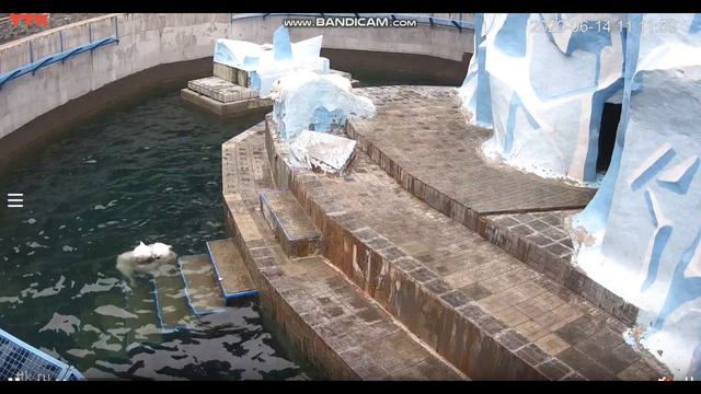 После завтрака можно и поплавать 14.06.2020 смотреть онлайн